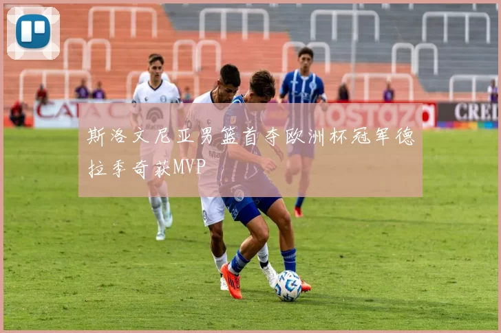 斯洛文尼亚男篮首夺欧洲杯冠军德拉季奇获MVP