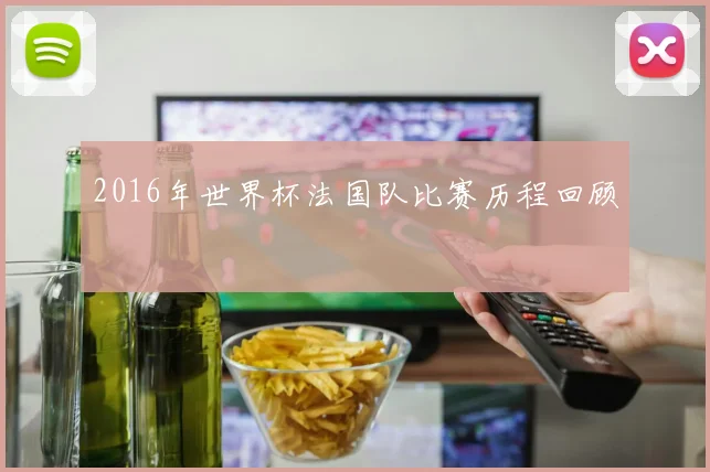2016年世界杯法国队比赛历程回顾