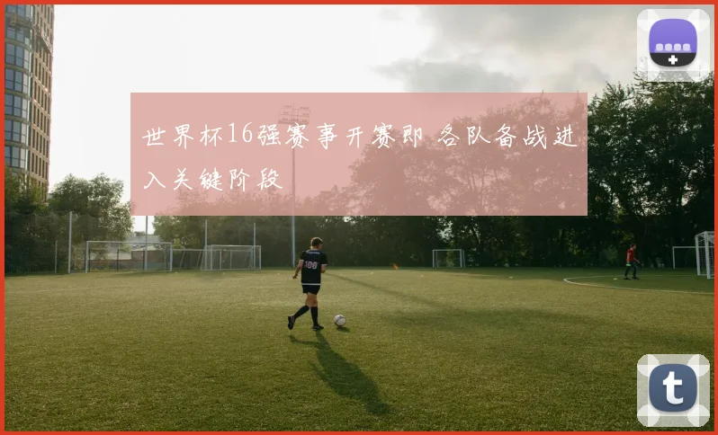 世界杯16强赛事开赛即 各队备战进入关键阶段