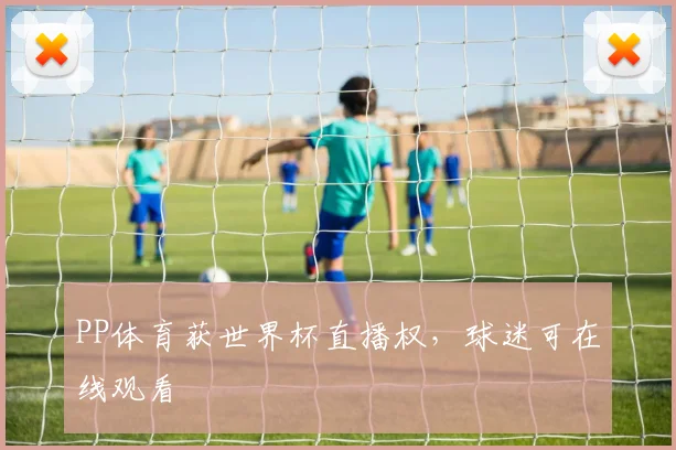 PP体育获世界杯直播权,球迷可在线观看