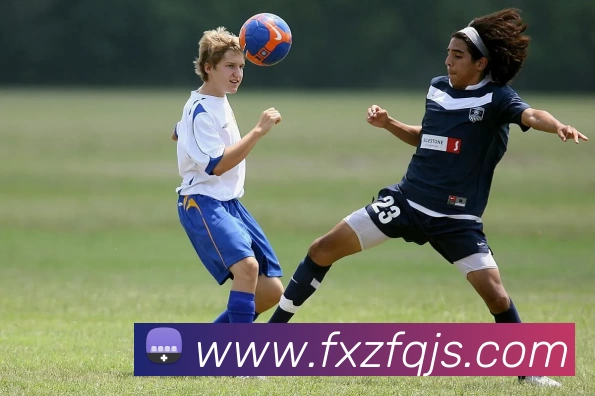 爱游戏ayx官方网页平台生态图